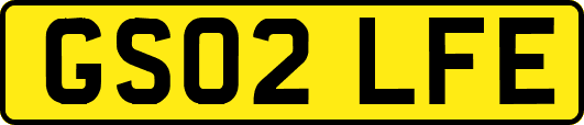 GS02LFE