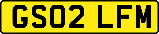 GS02LFM