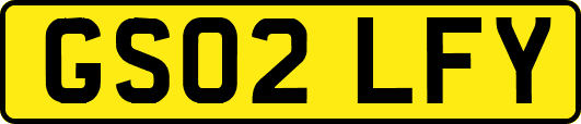 GS02LFY