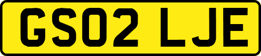 GS02LJE