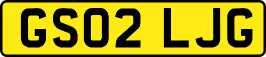 GS02LJG
