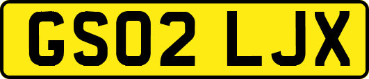 GS02LJX