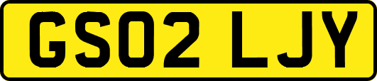 GS02LJY