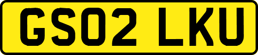 GS02LKU