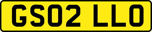 GS02LLO