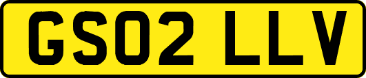 GS02LLV