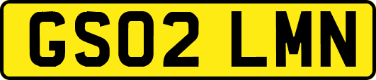 GS02LMN