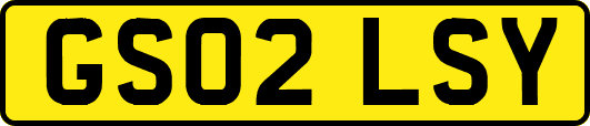 GS02LSY
