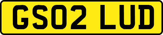 GS02LUD