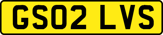GS02LVS