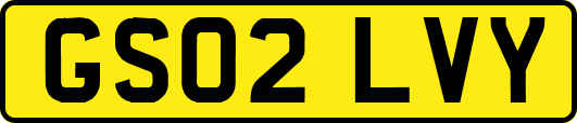 GS02LVY