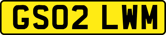 GS02LWM