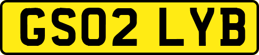 GS02LYB