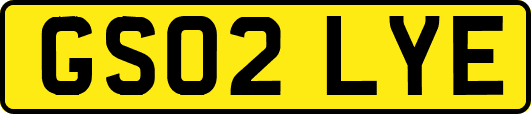 GS02LYE
