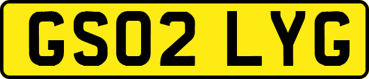 GS02LYG