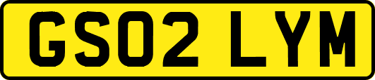 GS02LYM