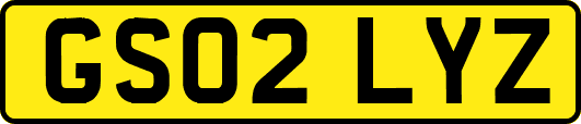 GS02LYZ