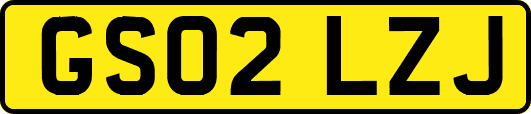 GS02LZJ