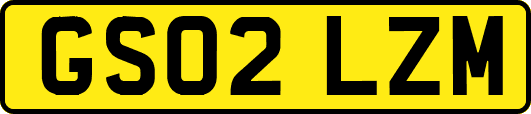 GS02LZM