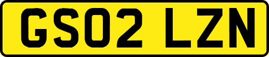 GS02LZN