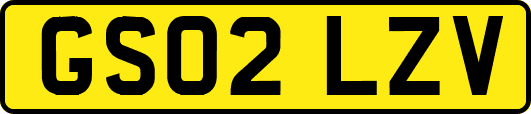 GS02LZV