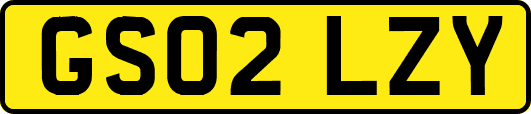 GS02LZY