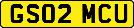 GS02MCU