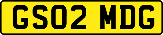 GS02MDG