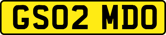 GS02MDO