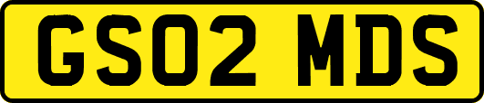 GS02MDS