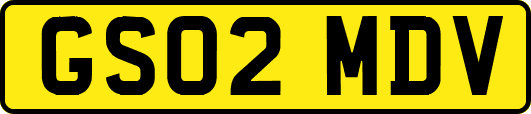 GS02MDV