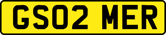 GS02MER