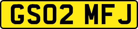 GS02MFJ