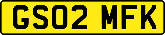 GS02MFK