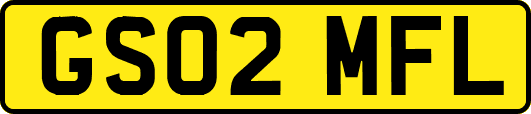 GS02MFL