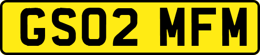GS02MFM