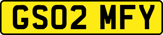 GS02MFY