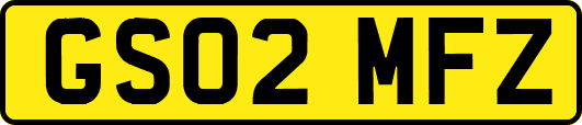 GS02MFZ