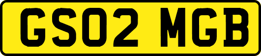 GS02MGB