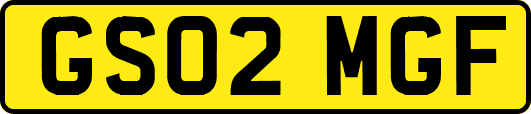 GS02MGF