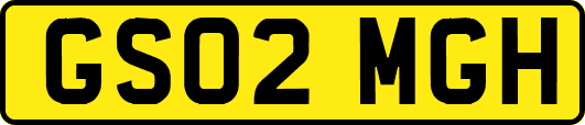 GS02MGH