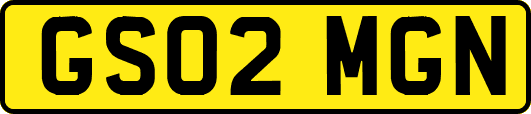 GS02MGN
