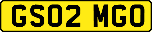 GS02MGO