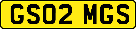 GS02MGS