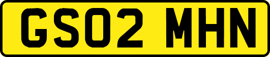 GS02MHN