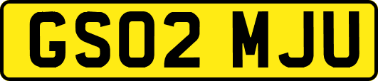 GS02MJU