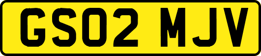 GS02MJV