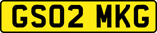 GS02MKG