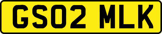 GS02MLK