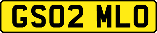 GS02MLO